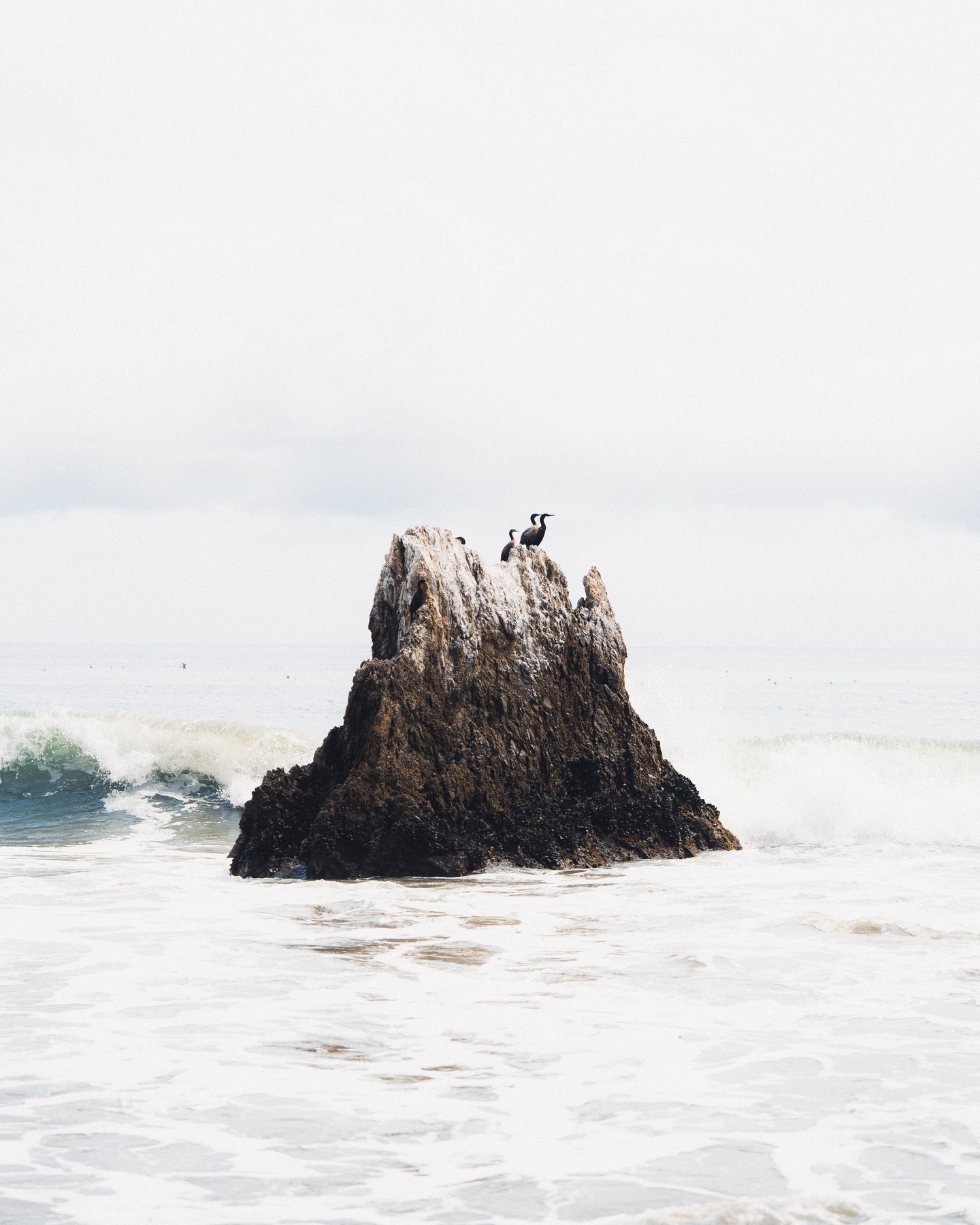 Rock with birds